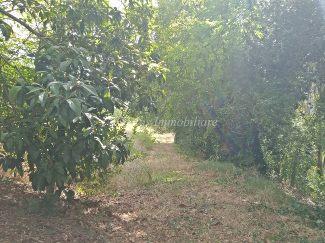 Terreno Agricolo in vendita a Ortezzano