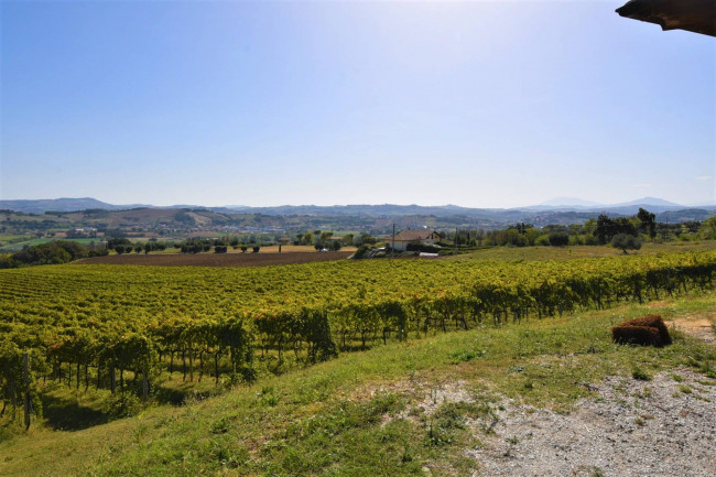 Farm for sale in Rapagnano