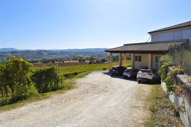 Azienda Agricola in vendita a Rapagnano