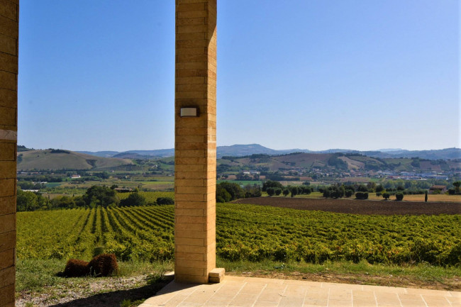 Azienda Agricola in vendita a Rapagnano