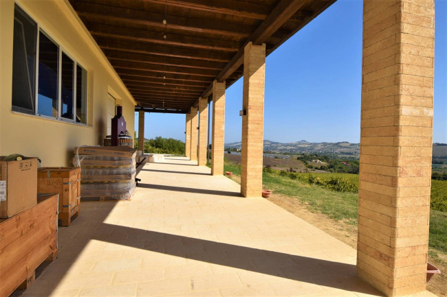 Azienda Agricola in vendita a Rapagnano