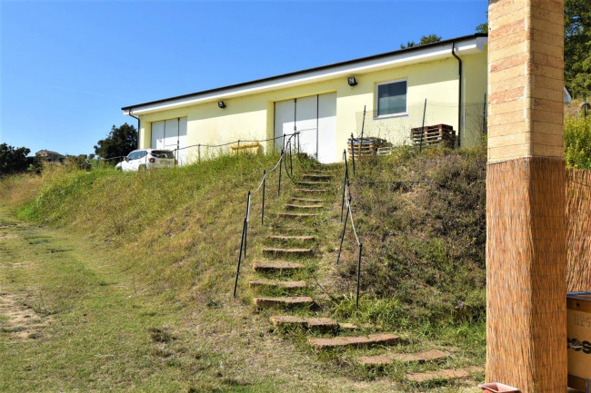 Azienda Agricola in vendita a Rapagnano