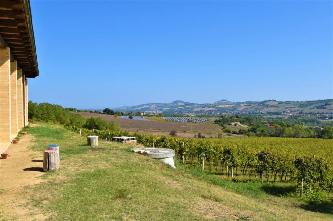 Azienda Agricola in vendita a Rapagnano