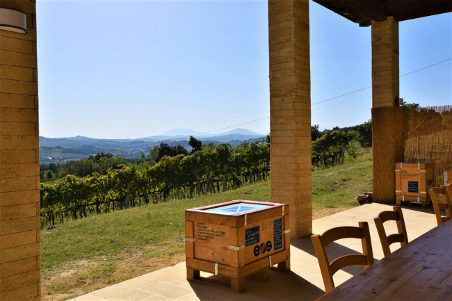 Azienda Agricola in vendita a Rapagnano