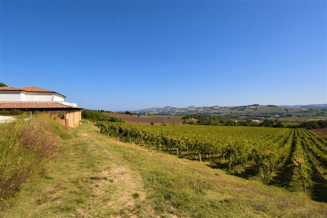 Azienda Agricola in vendita a Rapagnano