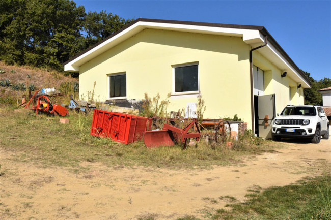 Azienda Agricola in vendita a Rapagnano