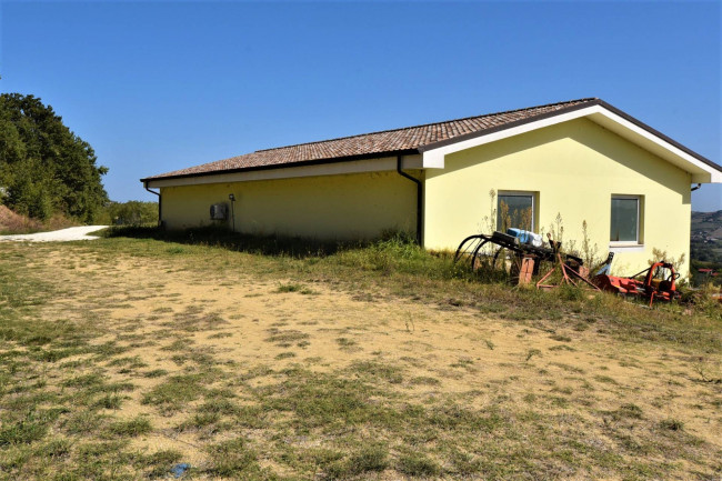 Azienda Agricola in vendita a Rapagnano