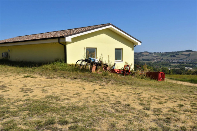 Azienda Agricola in vendita a Rapagnano