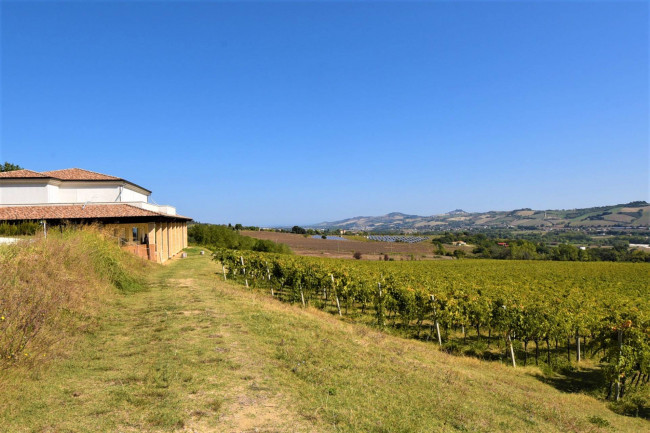 Azienda Agricola in vendita a Rapagnano