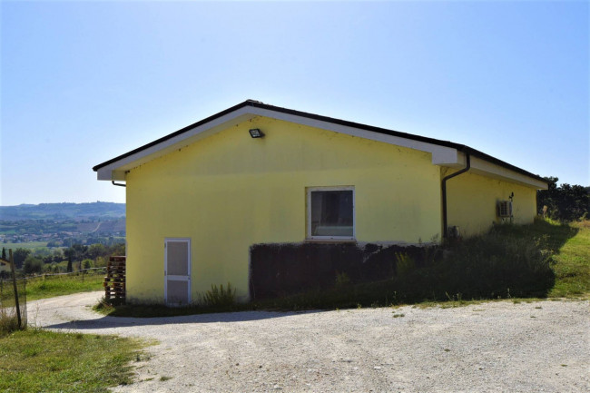 Azienda Agricola in vendita a Rapagnano