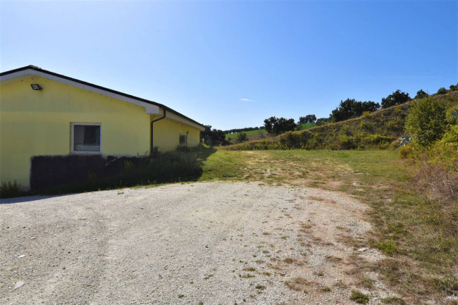 Azienda Agricola in vendita a Rapagnano