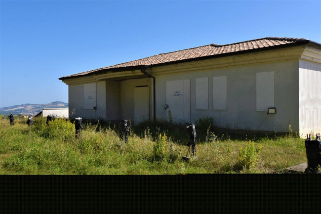 Azienda Agricola in vendita a Rapagnano