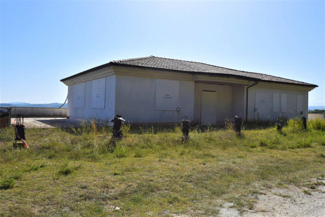 Azienda Agricola in vendita a Rapagnano