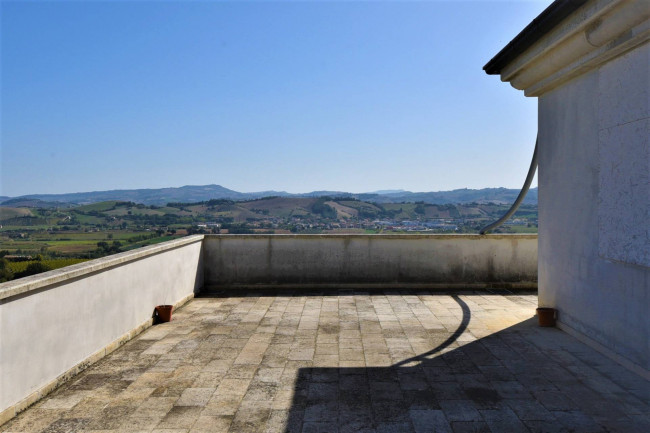 Azienda Agricola in vendita a Rapagnano