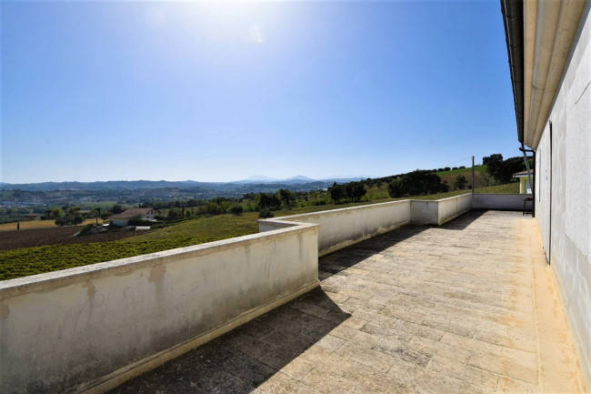 Azienda Agricola in vendita a Rapagnano