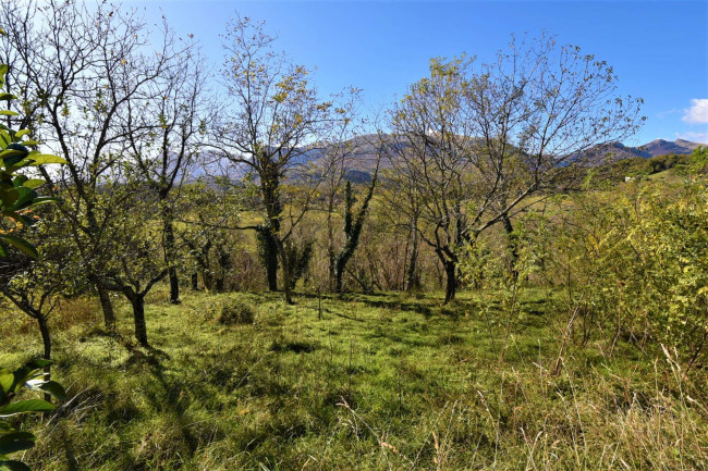 Casa singola in affitto a Amandola