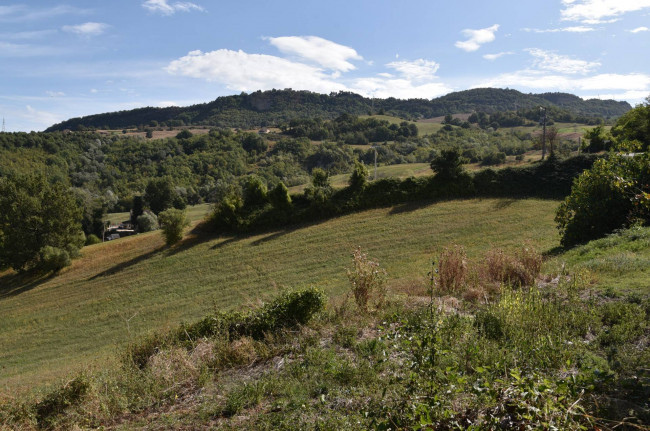 Casa colonica in vendita a Smerillo