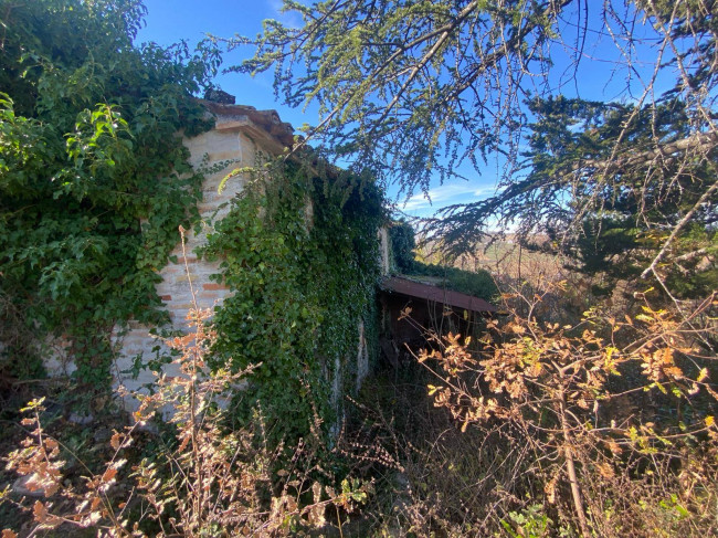 Casa colonica in vendita a Ripe San Ginesio