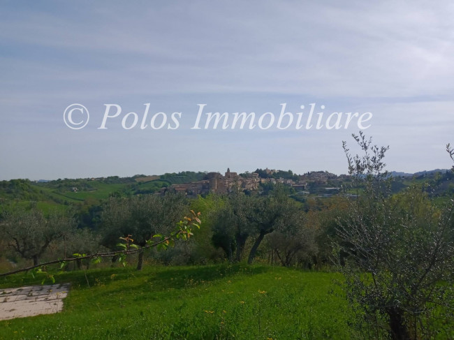 Terreno Agricolo in vendita a Montottone