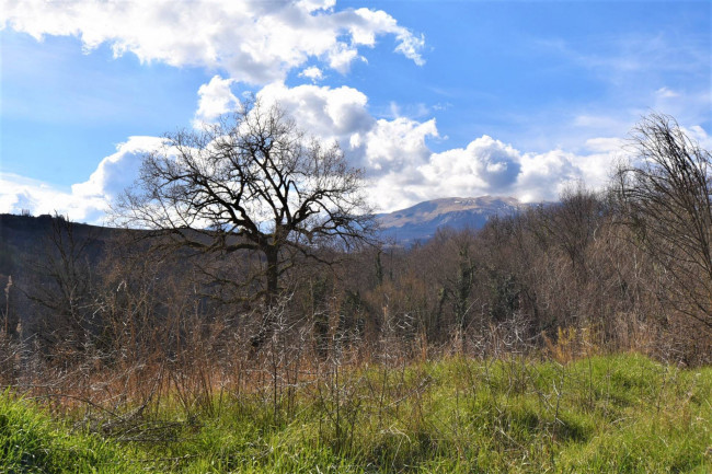 farmhouse for sale in Sarnano