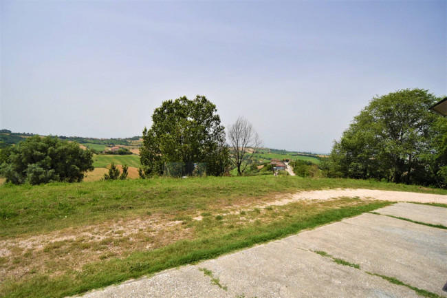 Terreno Agricolo in vendita a Torre San Patrizio