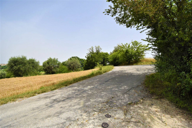 Terreno Agricolo in vendita a Torre San Patrizio