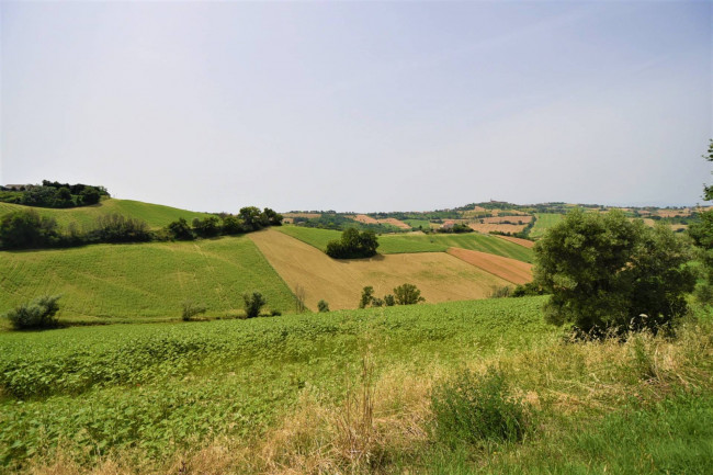 Terreno Agricolo in vendita a Torre San Patrizio