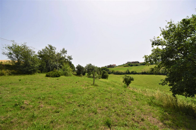 Terreno Agricolo in vendita a Torre San Patrizio