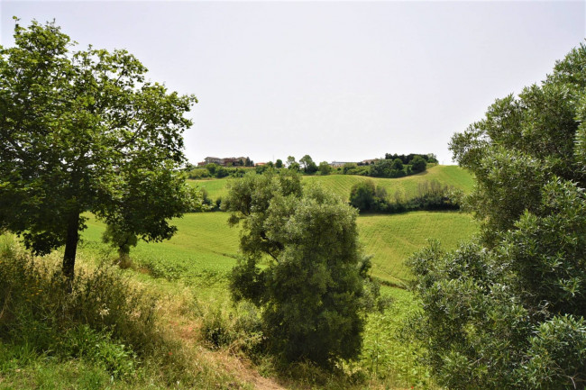 Terreno Agricolo in vendita a Torre San Patrizio