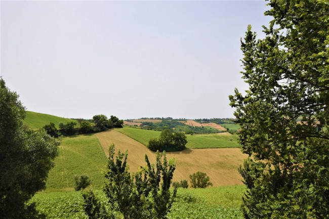 Terreno Agricolo in vendita a Torre San Patrizio