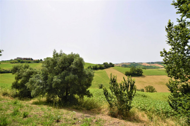 Terreno Agricolo in vendita a Torre San Patrizio