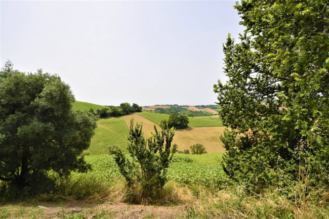 Terreno Agricolo in vendita a Torre San Patrizio