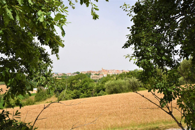 Terreno Agricolo in vendita a Torre San Patrizio