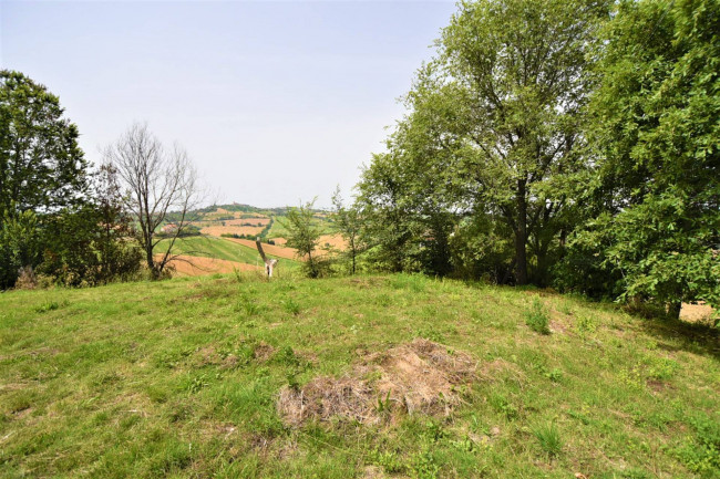 Terreno Agricolo in vendita a Torre San Patrizio