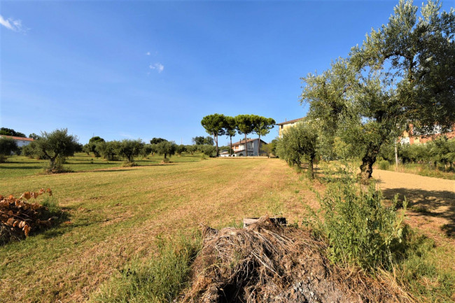 Appartamento in vendita a Mogliano