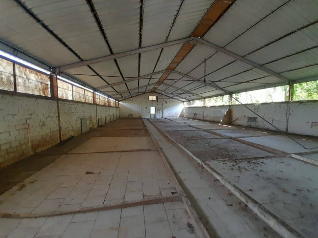 Capannone in vendita a Sant'Elpidio a Mare