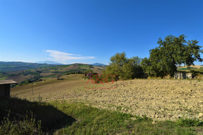 Terreno Agricolo in vendita a Carassai