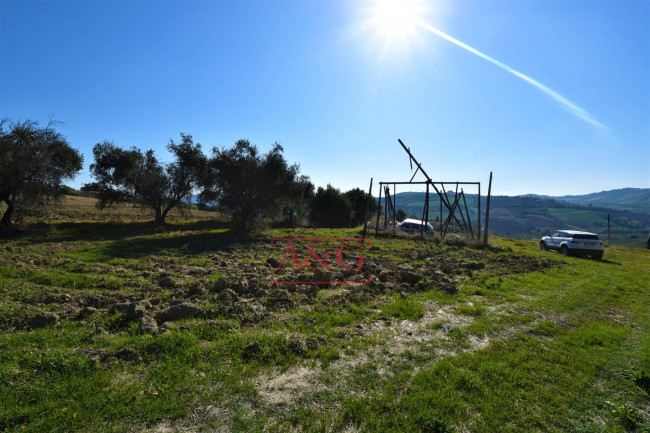 Terreno Agricolo in vendita a Carassai