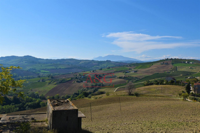 Terreno Agricolo in vendita a Carassai