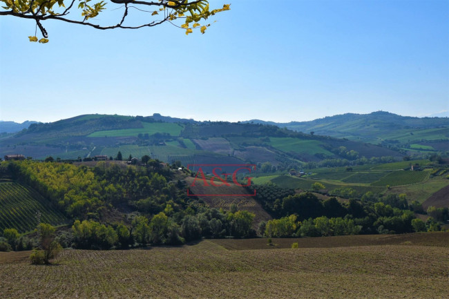 Terreno Agricolo in vendita a Carassai