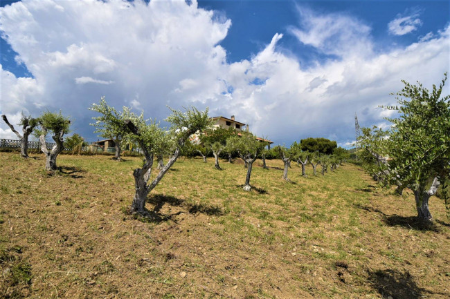 Villa in vendita a Monteprandone