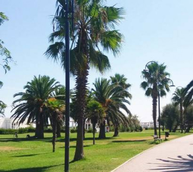 Attività commerciale in vendita a Porto Sant'Elpidio