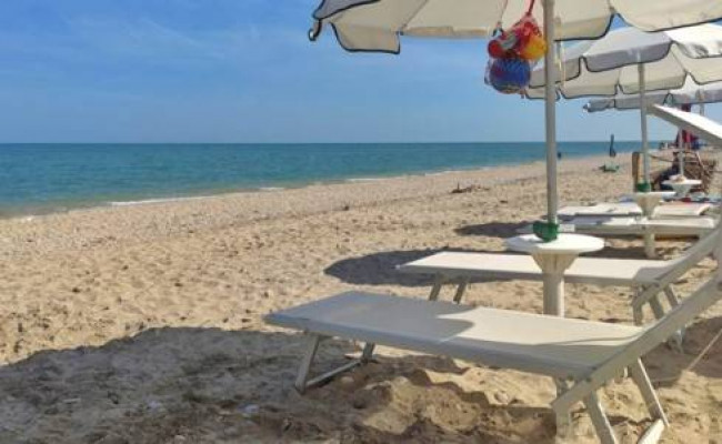 Attività commerciale in vendita a Porto Sant'Elpidio