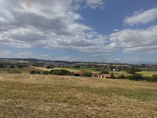 Terreno Agricolo in Vendita a Morrovalle