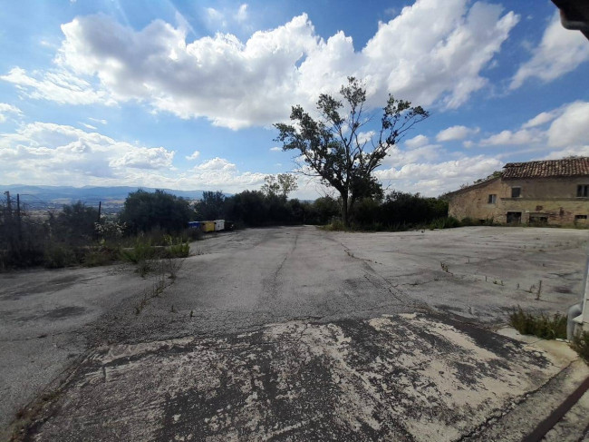 Capannone in affitto a Macerata