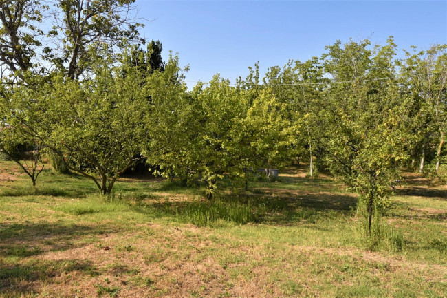 Villetta bifamiliare in vendita a Montegiorgio