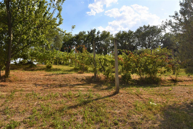 Villetta bifamiliare in vendita a Montegiorgio