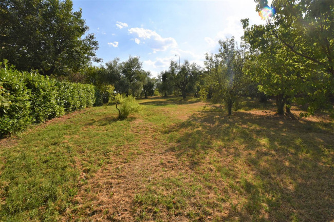 Villetta bifamiliare in vendita a Montegiorgio