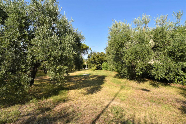 Villetta bifamiliare in vendita a Montegiorgio