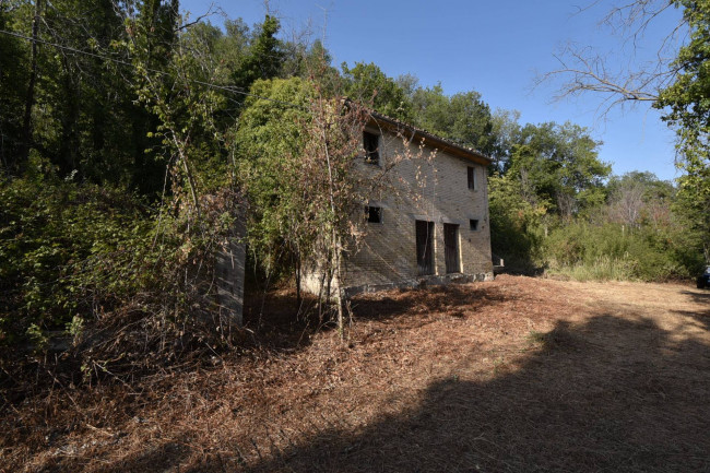 Rustic for sale in Massa Fermana